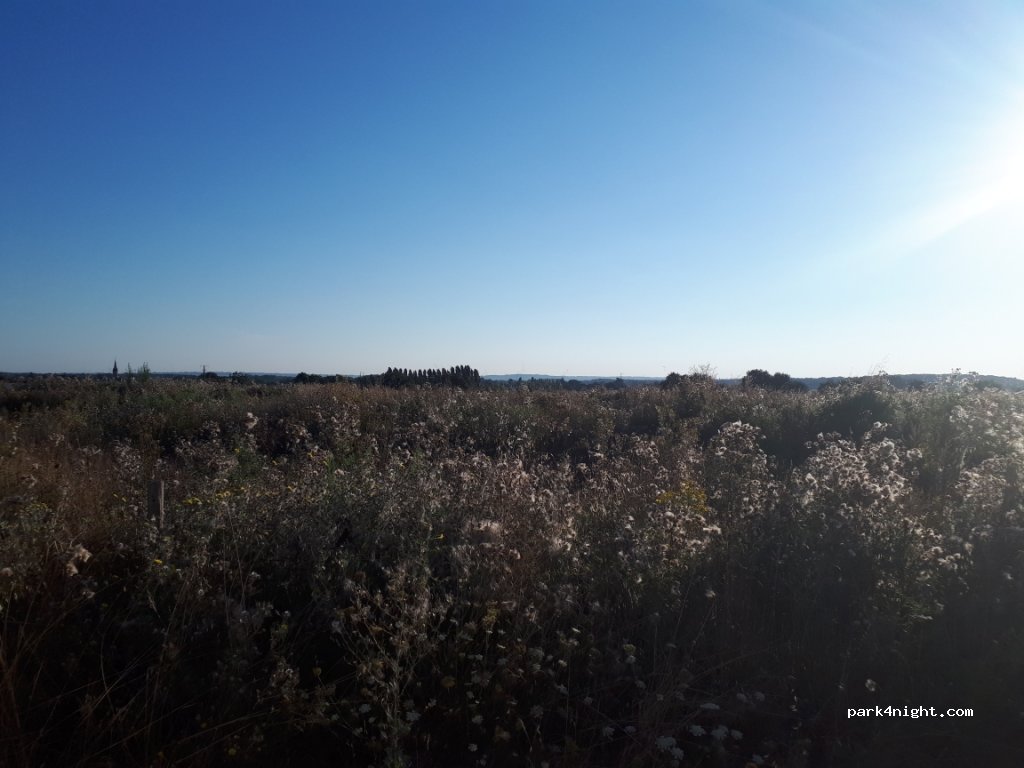 (85250) Vendrennes - 1 Rue des Landes — foto