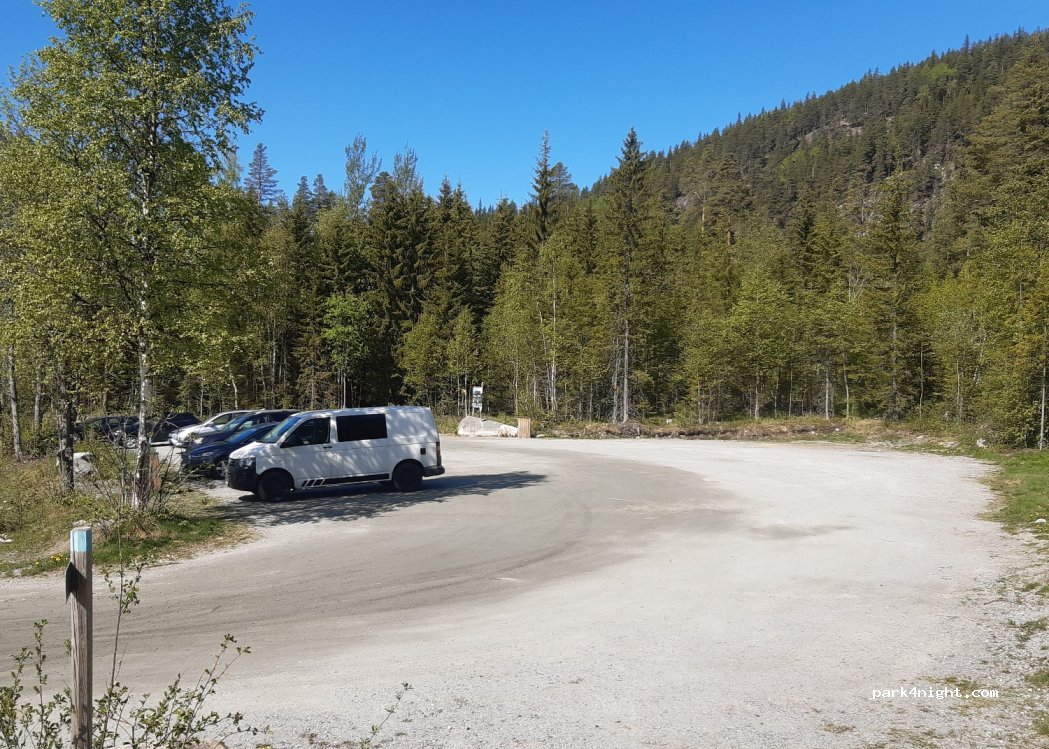 (3540) Nesbyen - Vassfarvegen — foto