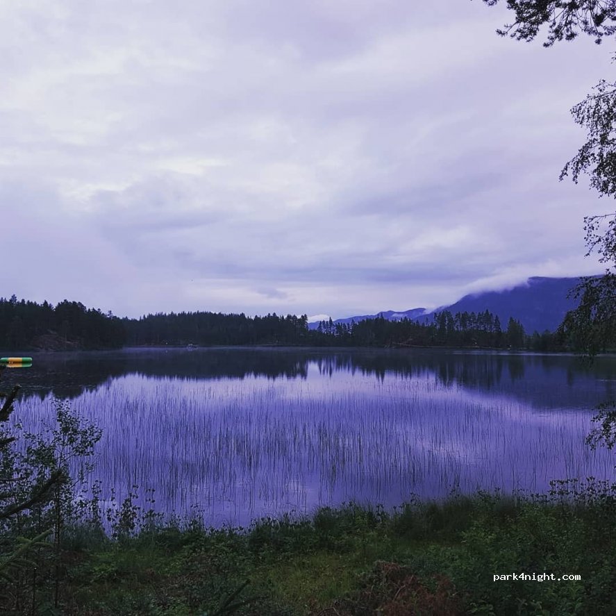 (3540) Nesbyen - Vassfarvegen — foto 3