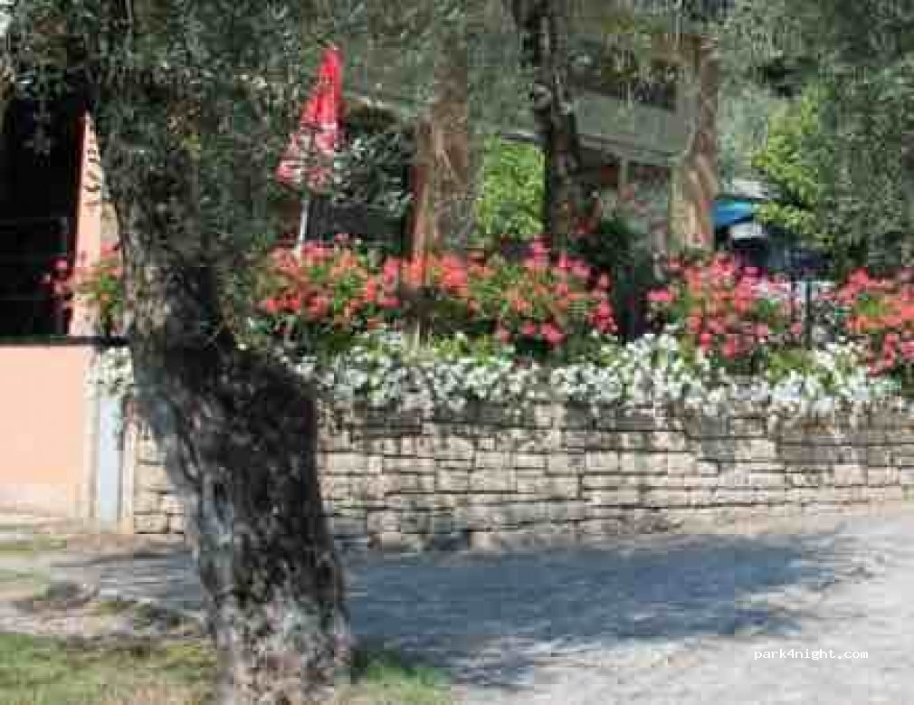 Camping Oliveti — foto