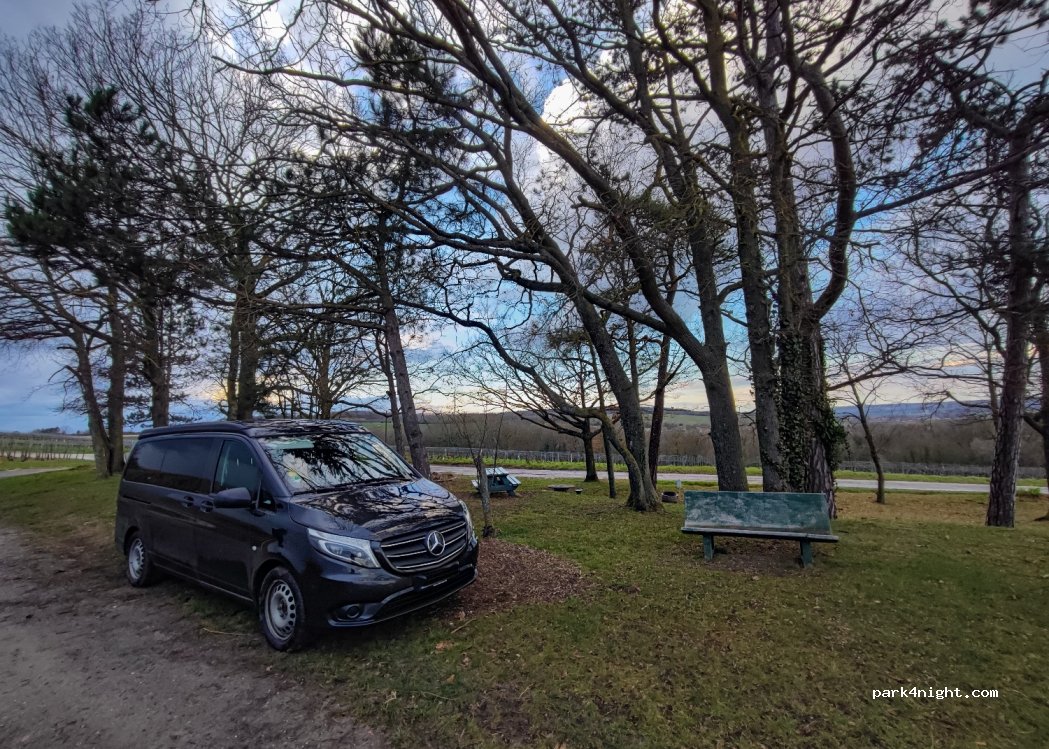 (51390) Pargny-lès-Reims - 25 Rue des Monts Coupes — foto