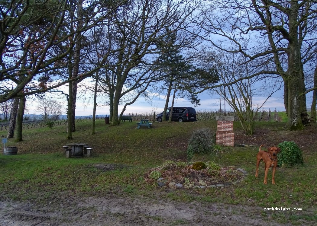 (51390) Pargny-lès-Reims - 25 Rue des Monts Coupes — foto 2