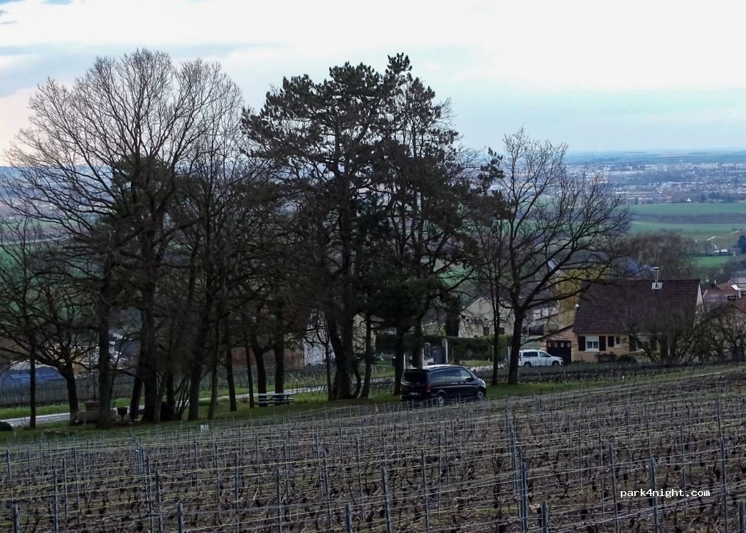 (51390) Pargny-lès-Reims - 25 Rue des Monts Coupes — foto 3