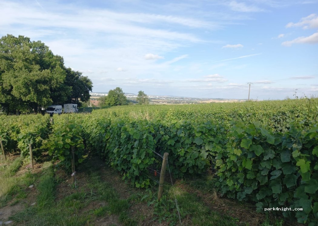 (51390) Pargny-lès-Reims - 25 Rue des Monts Coupes — foto 4