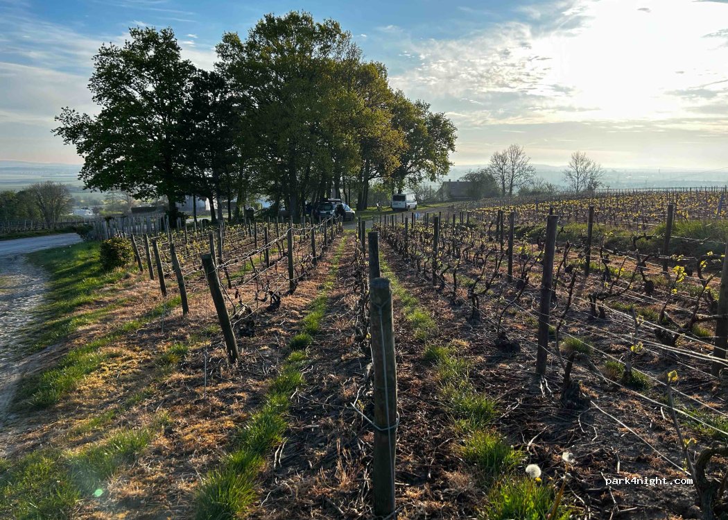 (51390) Pargny-lès-Reims - 25 Rue des Monts Coupes — foto 5