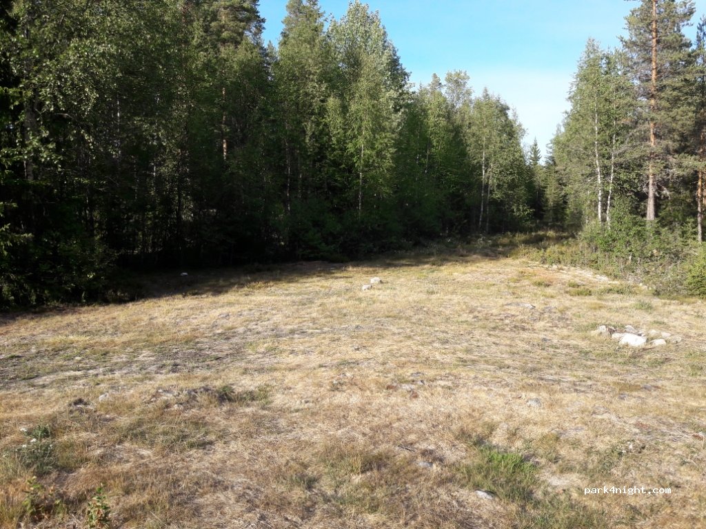 (2450)  - 36 Primær Fylkesveg 215 — foto 2