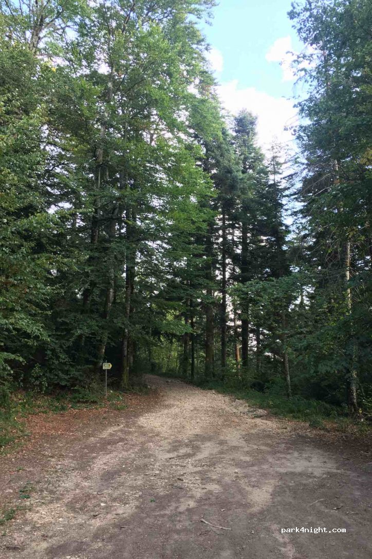 (39260) Moirans-en-Montagne - Route Forestière de la Roche d'Antre — foto