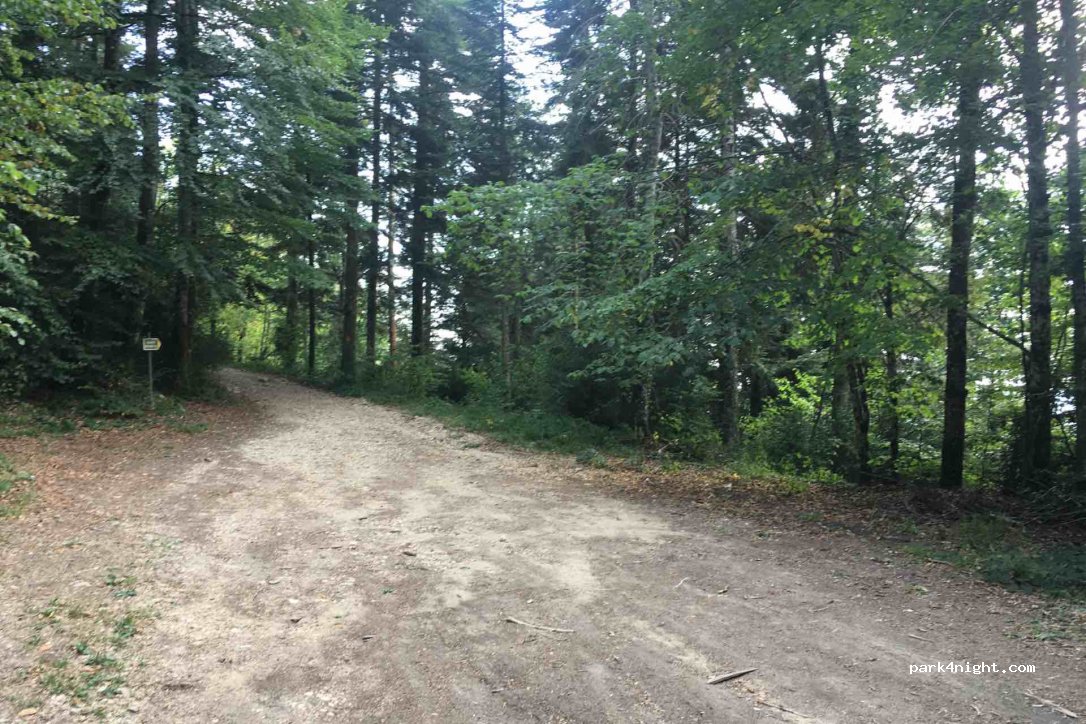 (39260) Moirans-en-Montagne - Route Forestière de la Roche d'Antre — foto 3