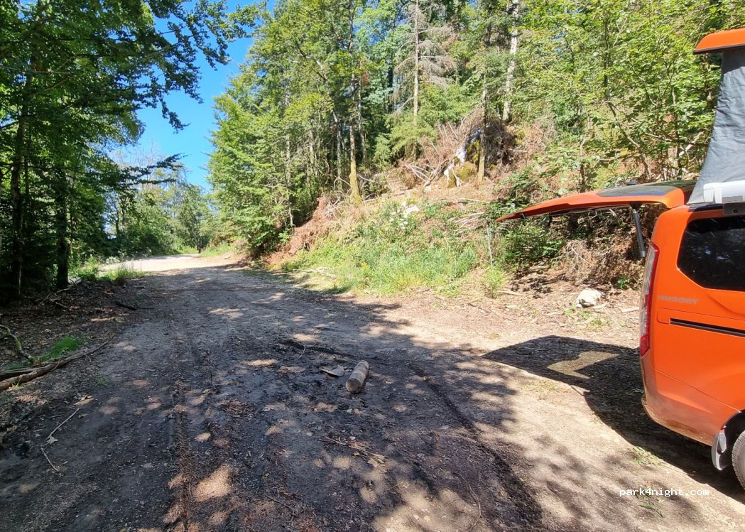 (39260) Moirans-en-Montagne - Route Forestière de la Roche d'Antre — foto 4