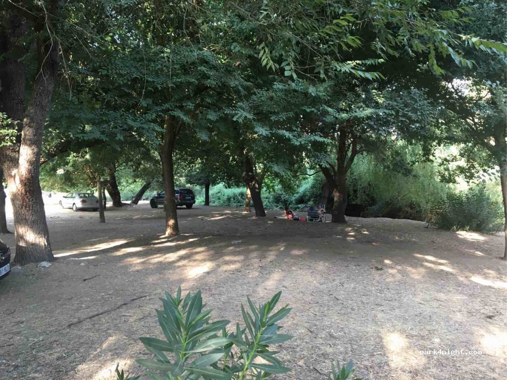 (11688) Zahara - CA-8102 — foto