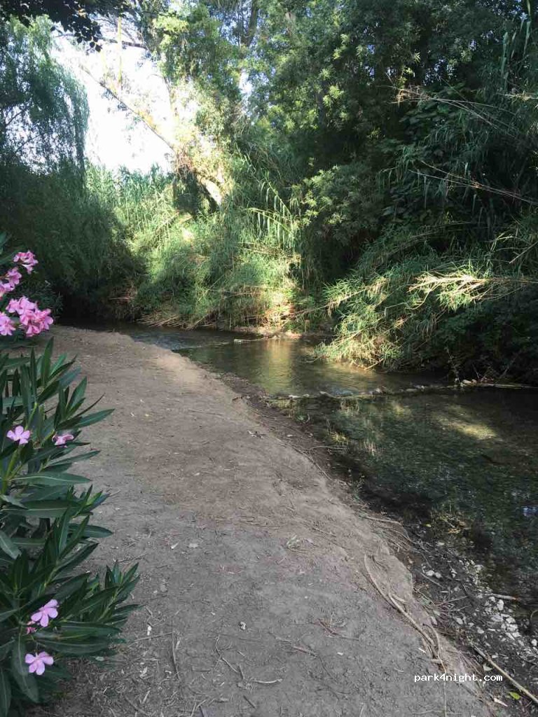 (11688) Zahara - CA-8102 — foto 2