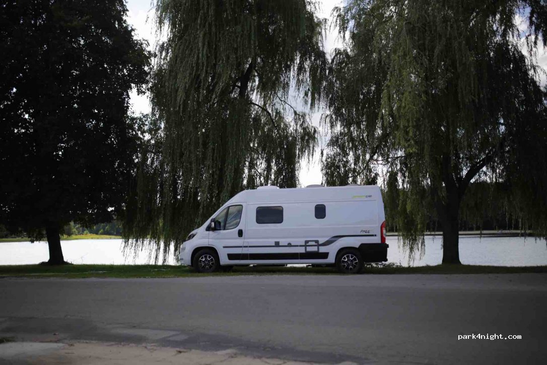 (37-307) Brzóza Królewska - — foto