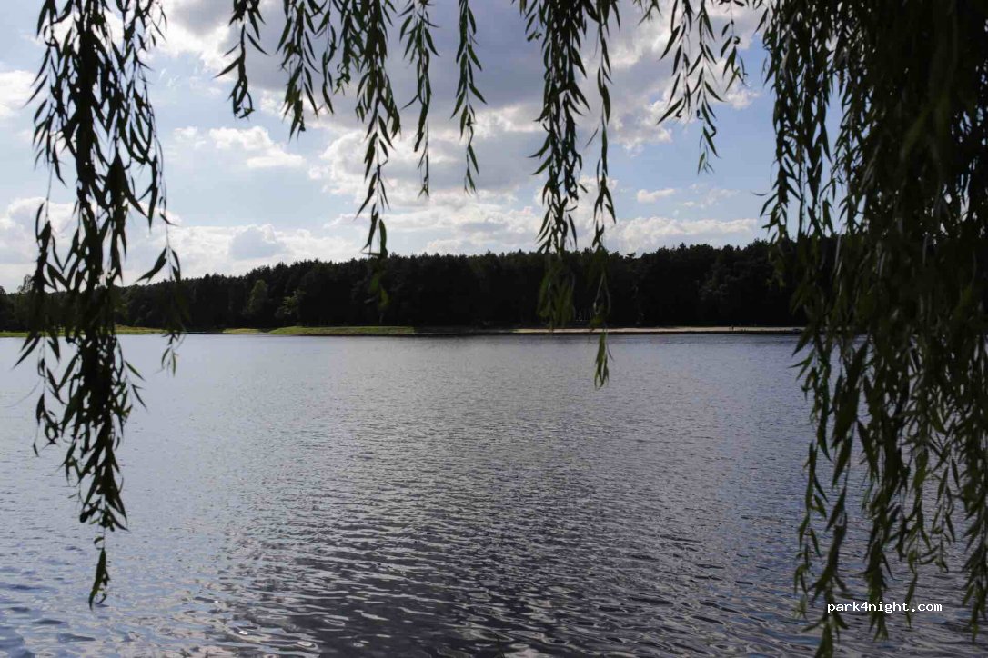 (37-307) Brzóza Królewska - — foto 2
