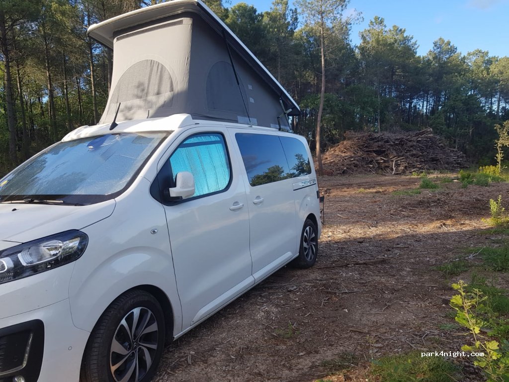 (30700) Saint-Victor-des-Oules - Route de la Capelle — foto