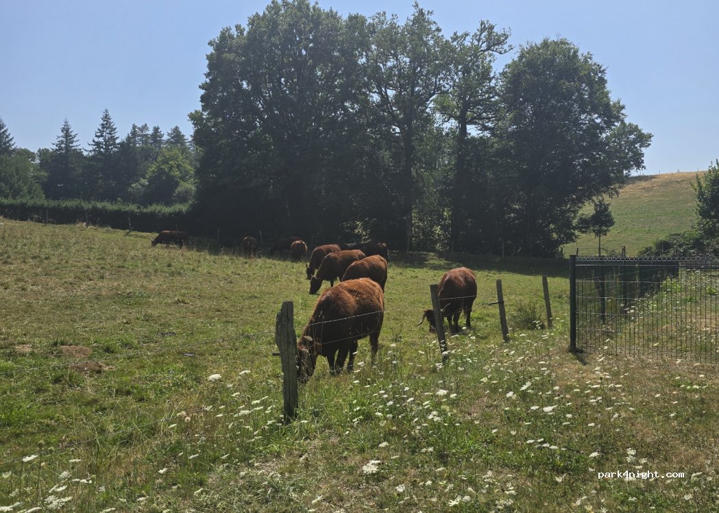 (15120) Montsalvy - Route du Lac — foto 5