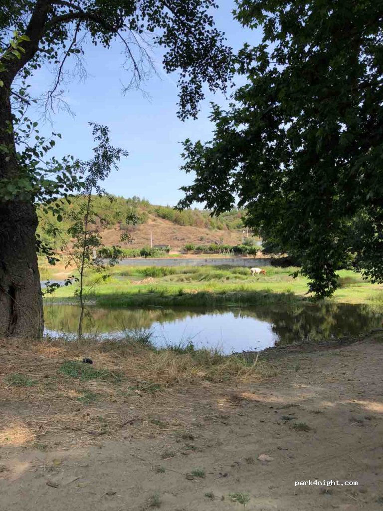 (5370) Rio Torto - N213 — foto 2