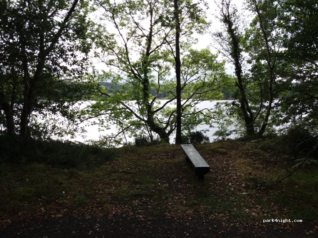 () Letterkenny - R245 — foto 3