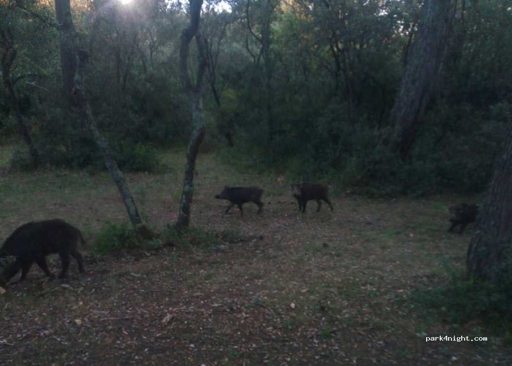 (13113) Lamanon - Unnamed Road — foto 3