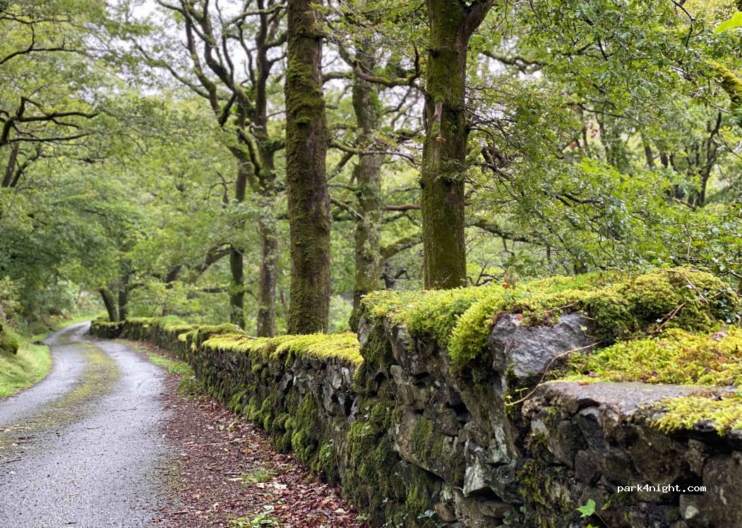 (LL45 2PH) Gwynedd - Unnamed Road — foto 2