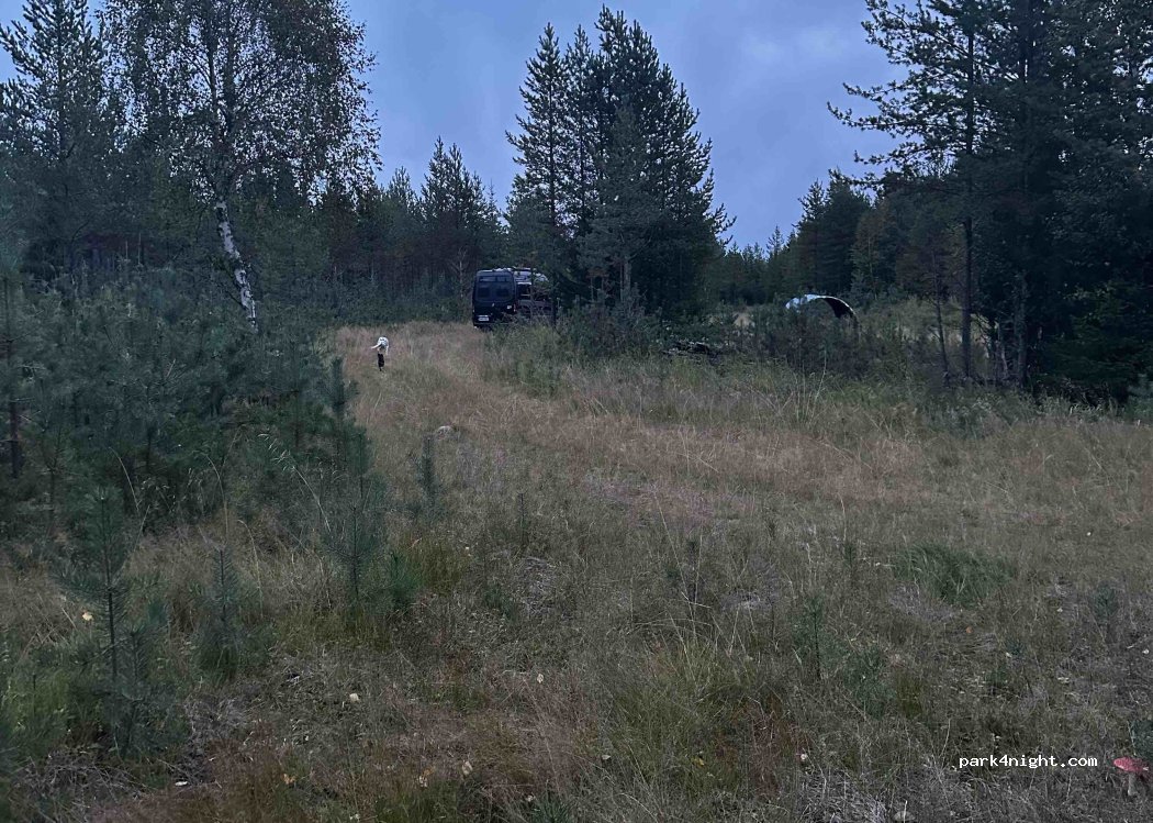 (95750) Orajärvi - 185 Kolarintie — foto 3