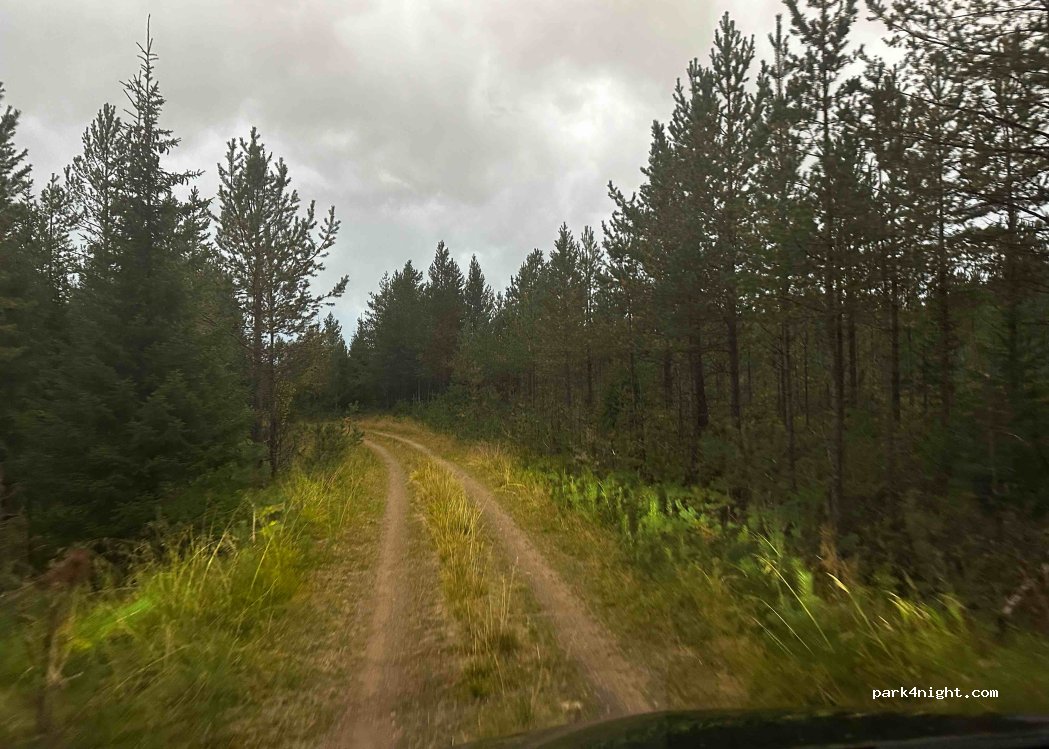 (95750) Orajärvi - 185 Kolarintie — foto 4