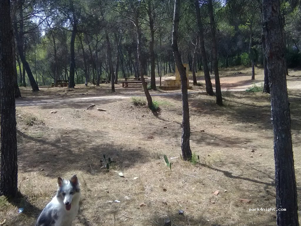 (46591) Albalat de Taronchers - 139 CV-329 — foto 2
