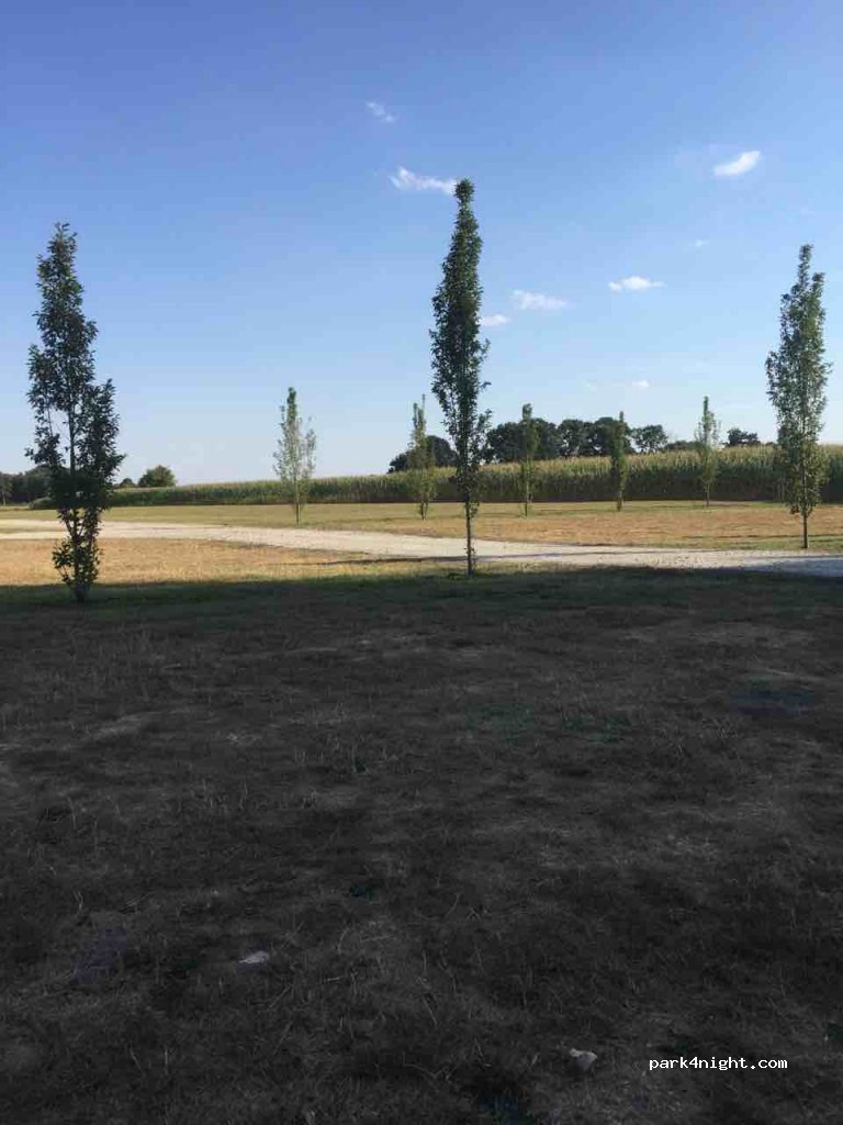 (26349) Jade - 2 An der Rennweide — foto