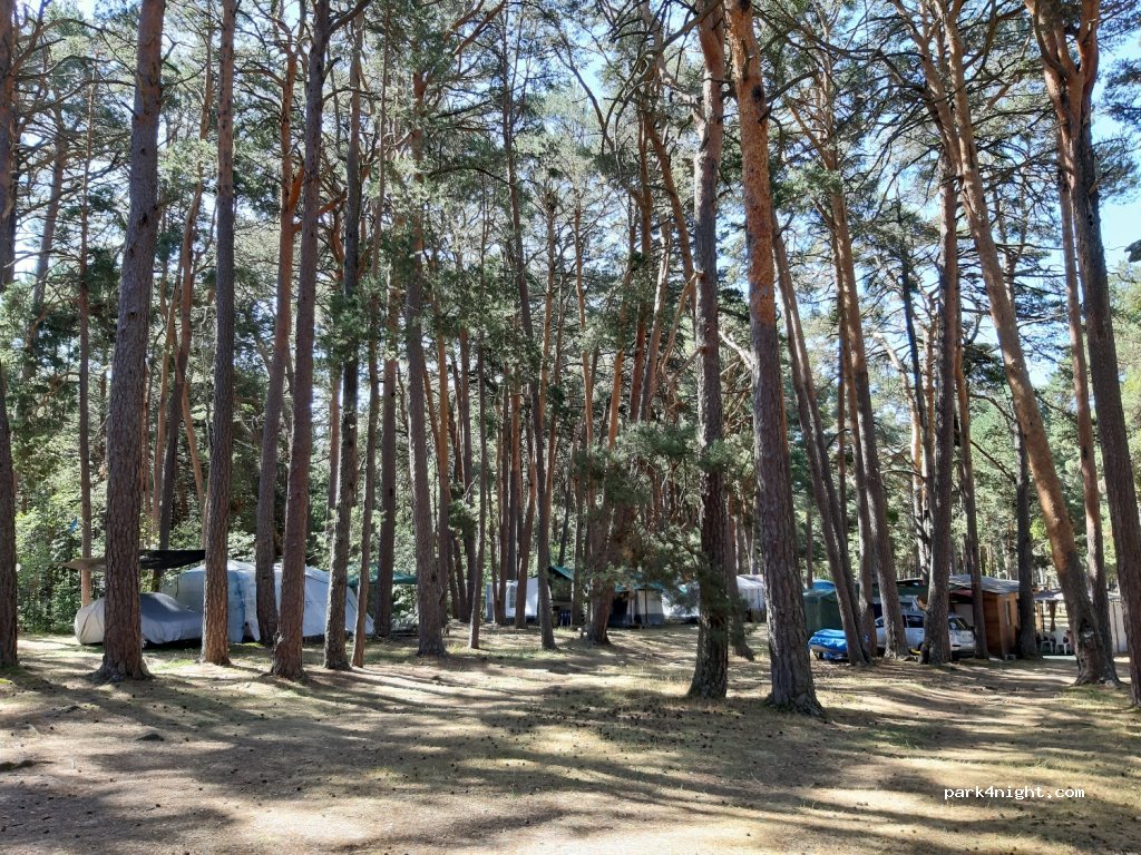 CAMPING COBIJO — foto