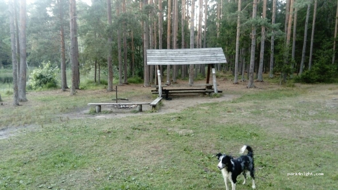 (74615) Suru - — foto 2