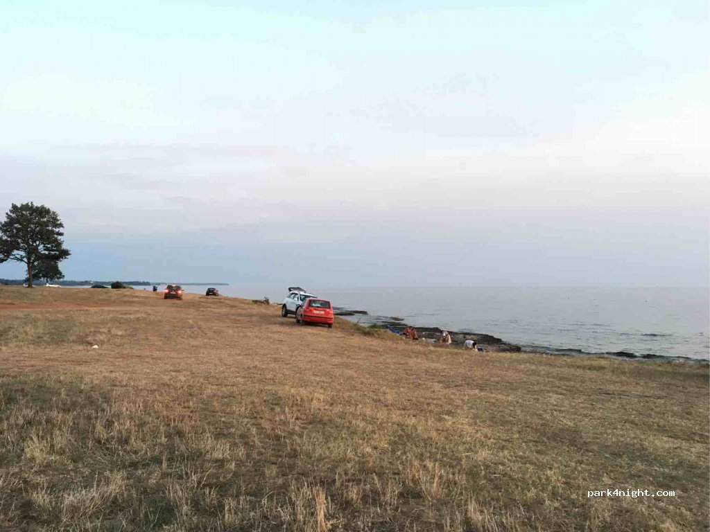 (52470) Đuba - Ž5002 — foto