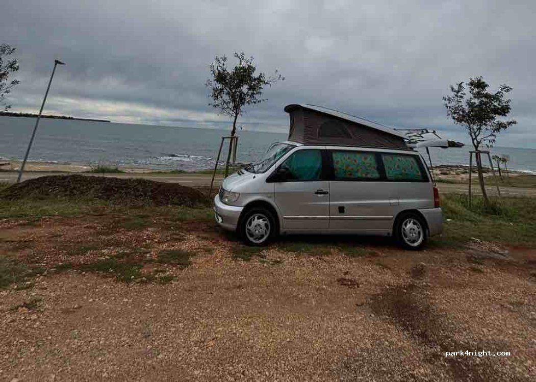 (52470) Đuba - Ž5002 — foto 4