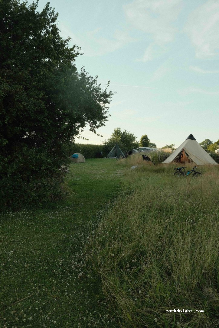 Syltemae Camping — foto 5