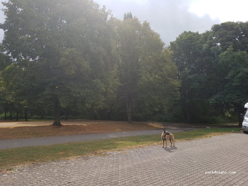 (66687) Wadern - 5 Zum Wiesental — foto 2