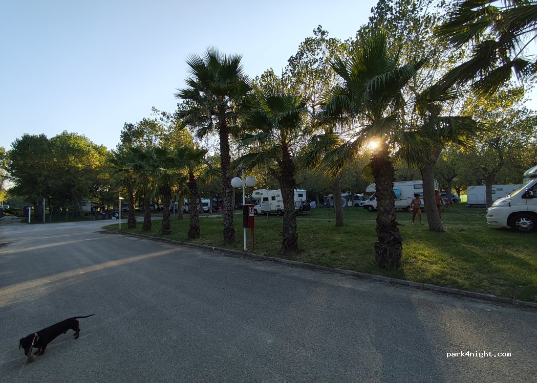 Camping Village Misano — foto 4