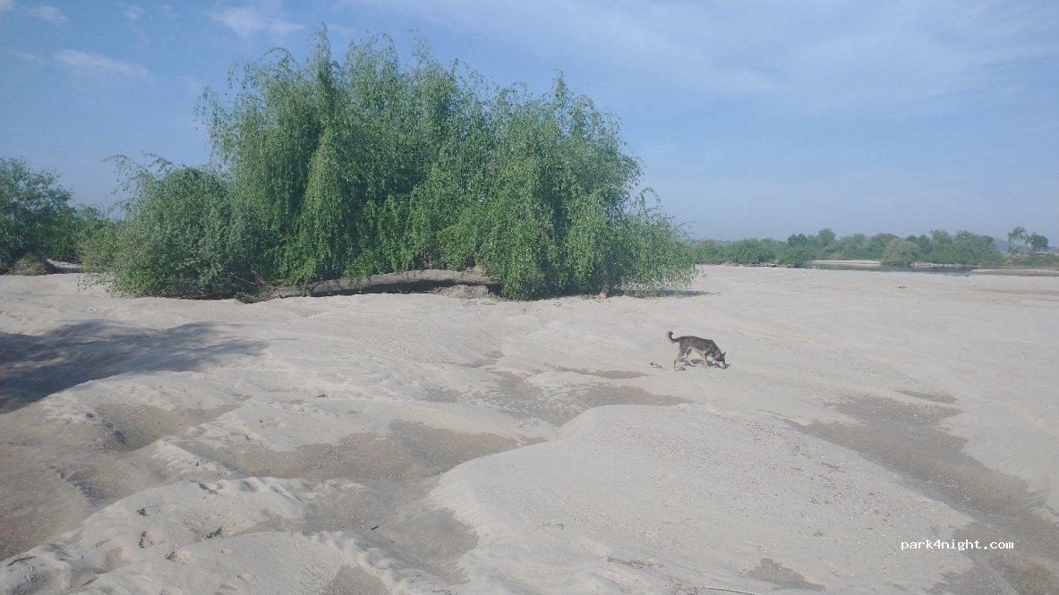 () Almeirim - Unnamed Road — foto 2