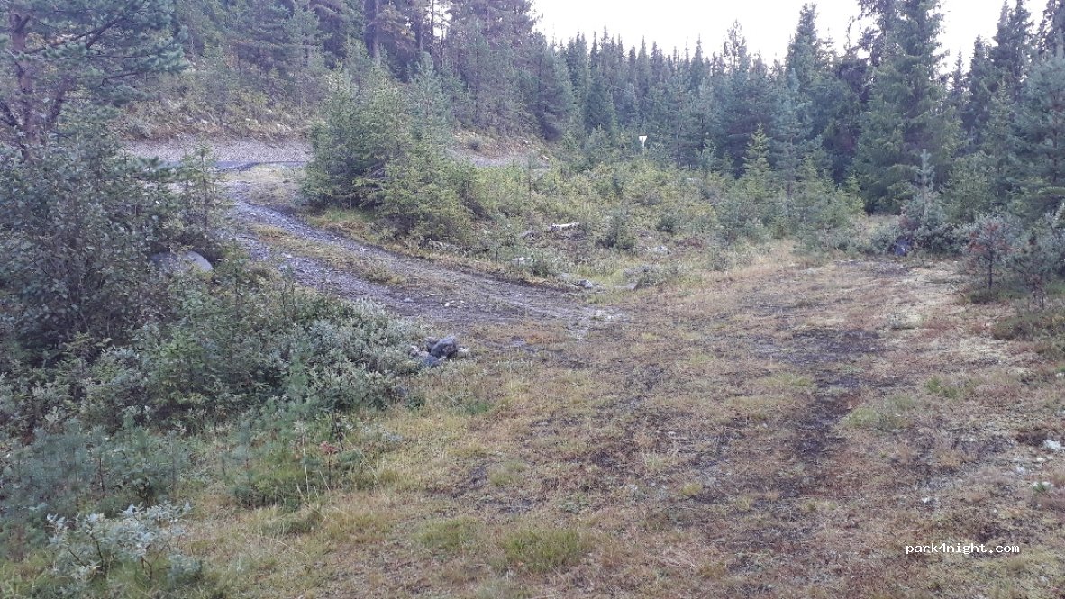 (3540) Nesbyen - 56 Sekundær Fylkesveg 214 — foto