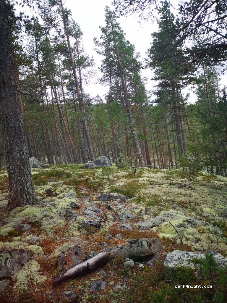 (3580)  - 82 Nord-skurdalen — foto 2