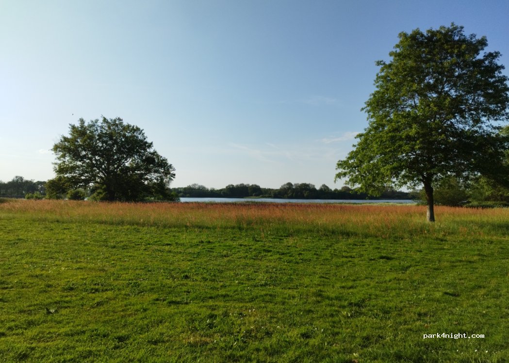 (85130) Les Landes-Genusson - 5695F Les Boucheries — foto