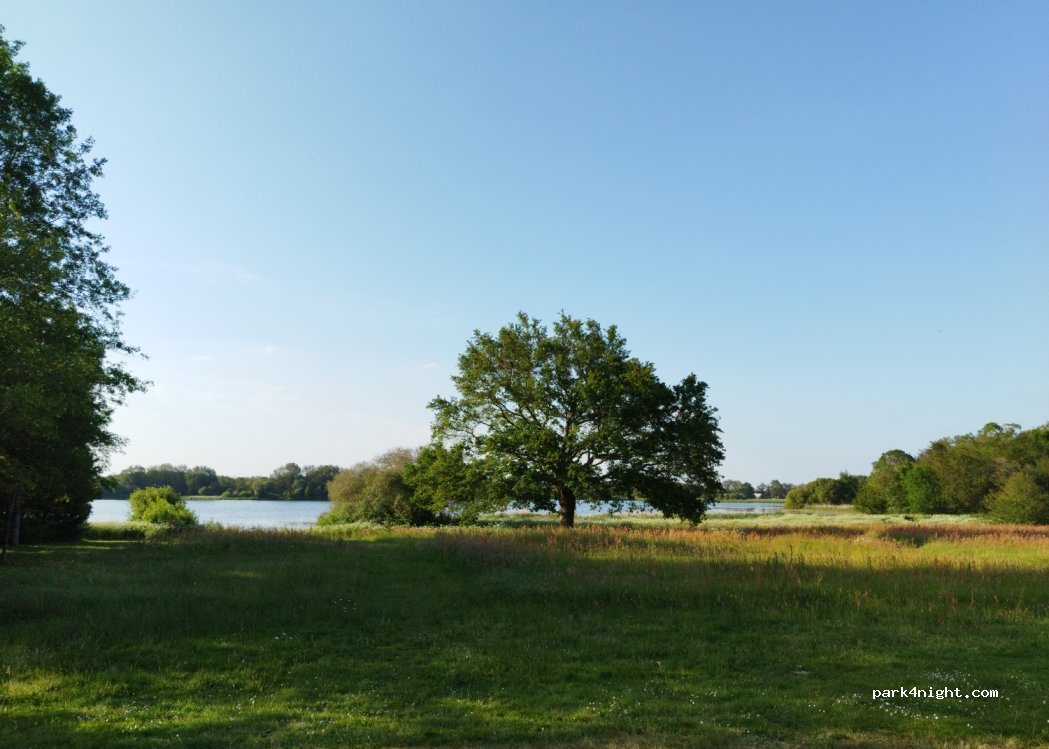 (85130) Les Landes-Genusson - 5695F Les Boucheries — foto 4