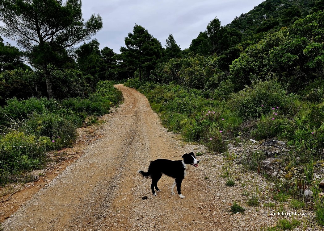 Camping Vucine — foto 4