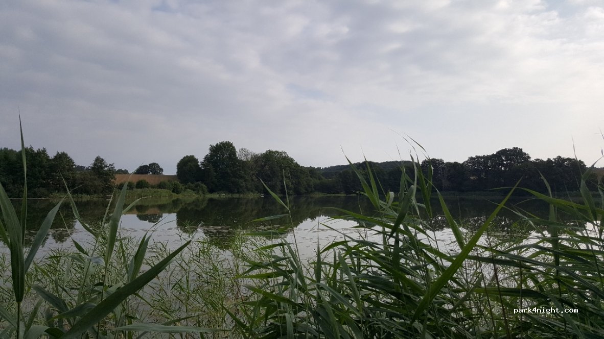 (24631) Langwedel - 4 Pohlsee — foto 3