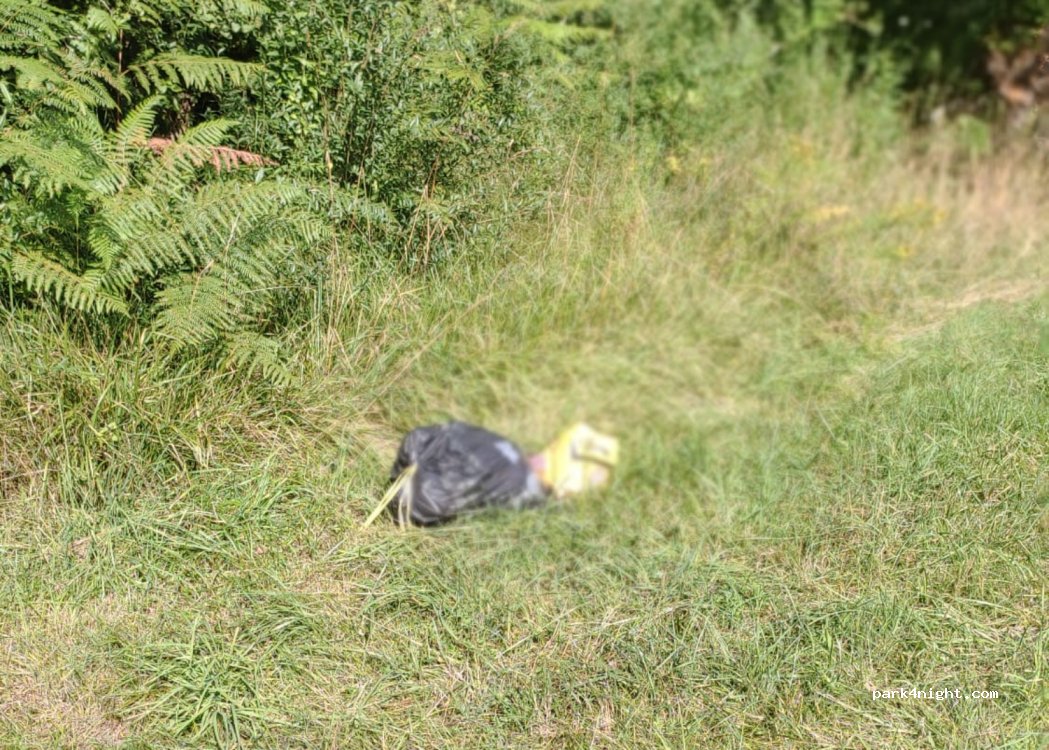 (31360) Roquefort-sur-Garonne - 2 Chemin du Confluent — foto 4