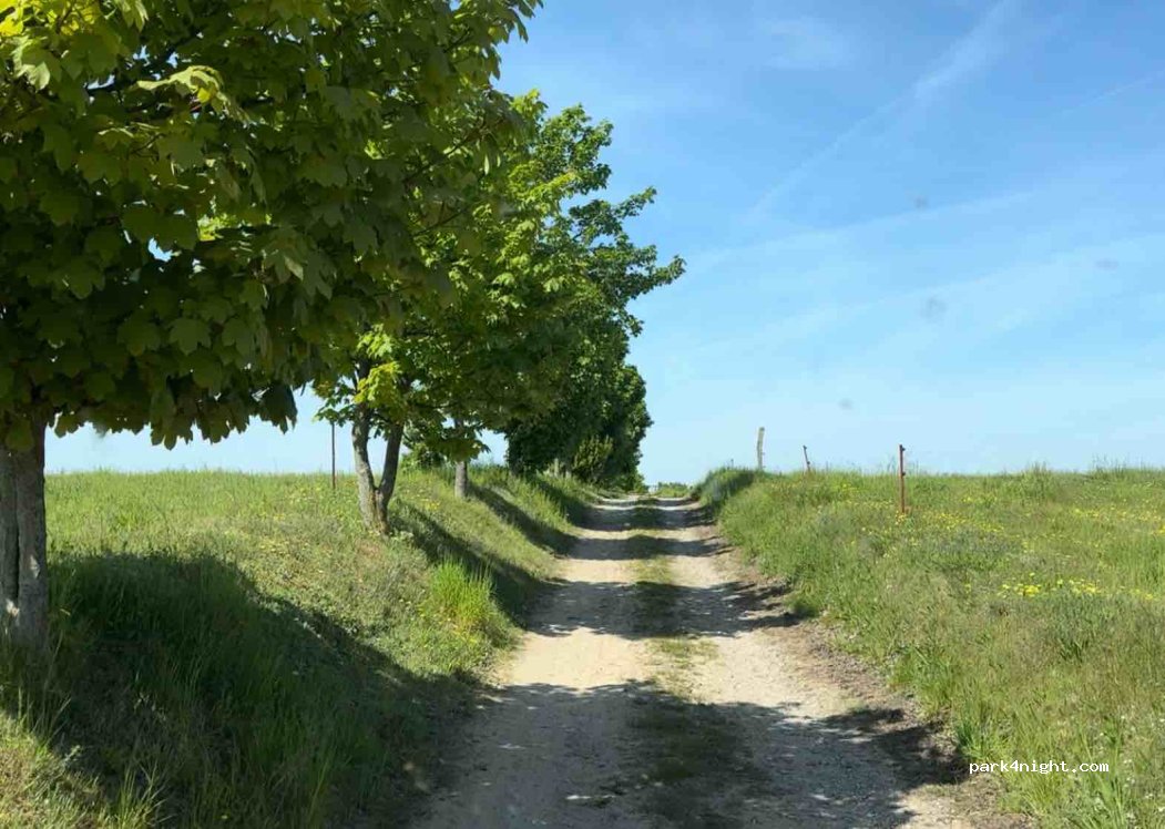 (19243) Wittendörp - Unnamed Road — foto 4