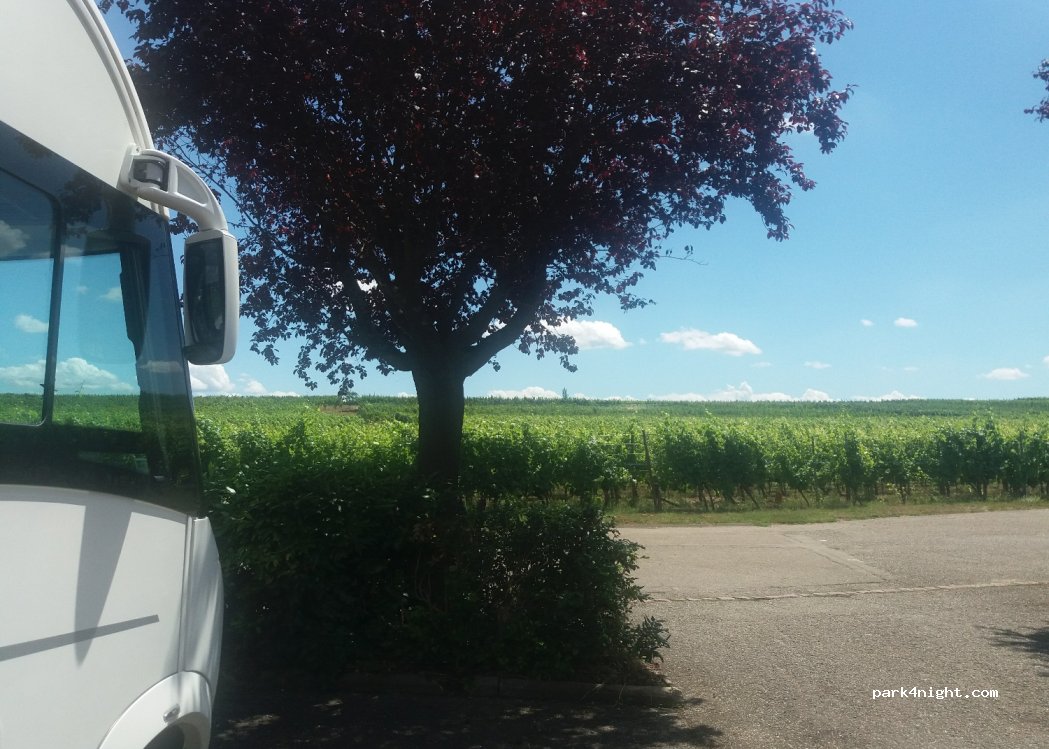 (68630) Bennwihr - 10 Rue du Stade — foto 4