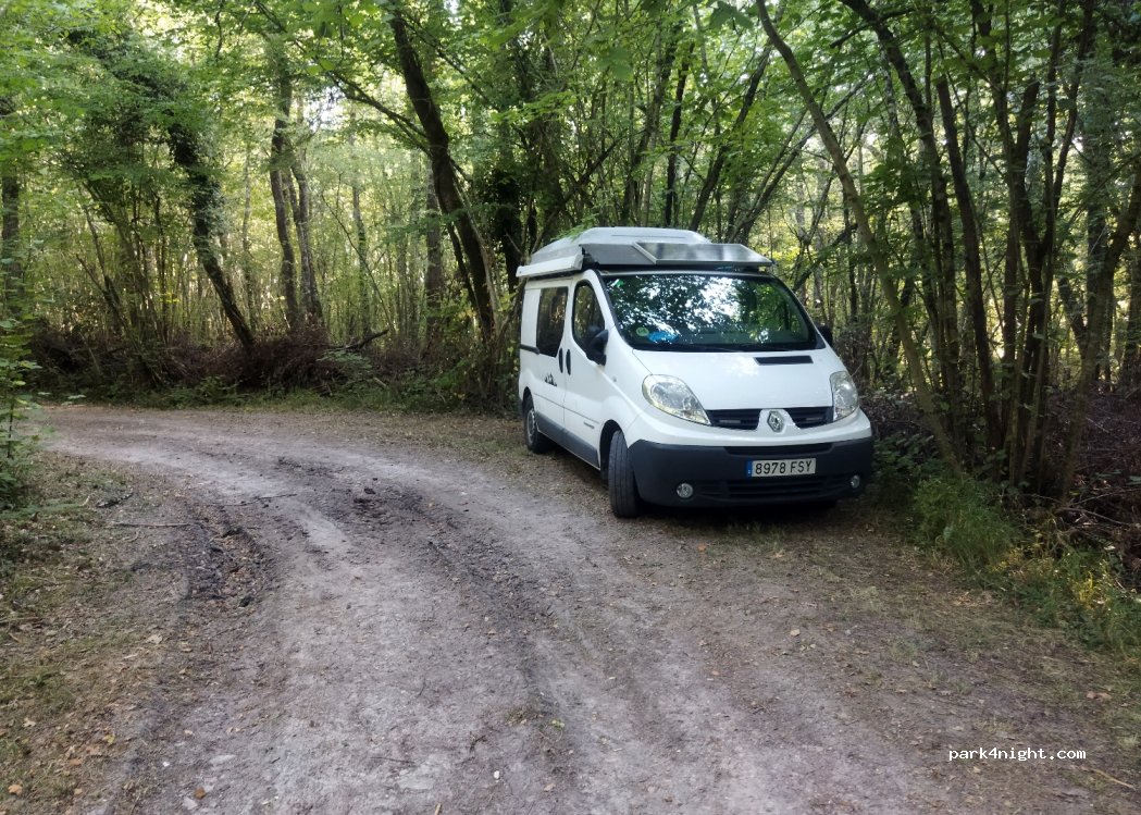 (17500) Réaux-Sur-Trèfle - Le Bois de la Gâtine — foto 3