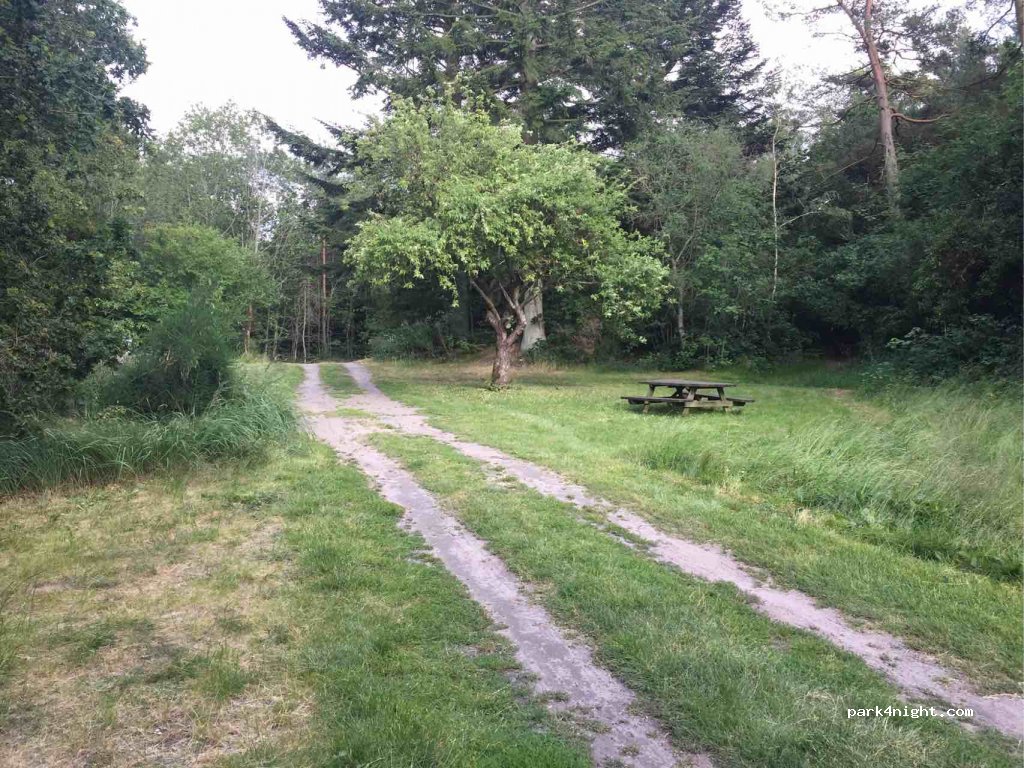 (9881) Bindslev - 78 Skagensvej — foto 3