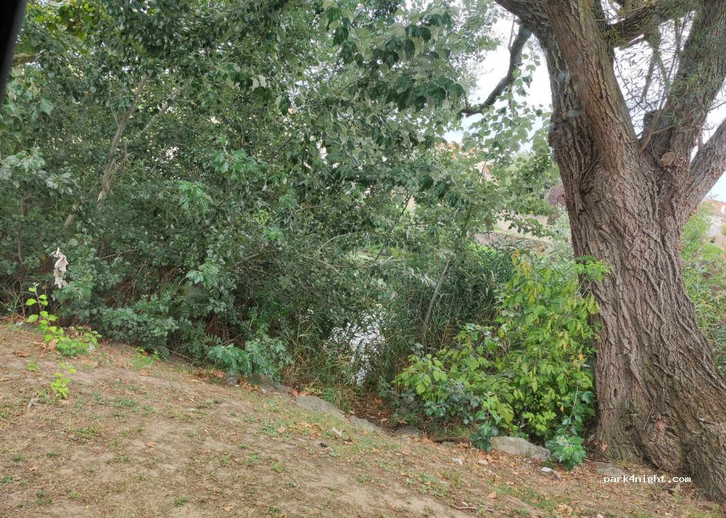 (11000) Carcassonne - 15 Boulevard Paul Sabatier — foto 2