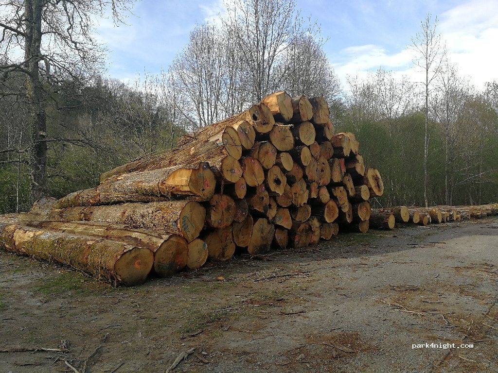 (65270) Peyrouse - 19 Route de Pau — foto 2
