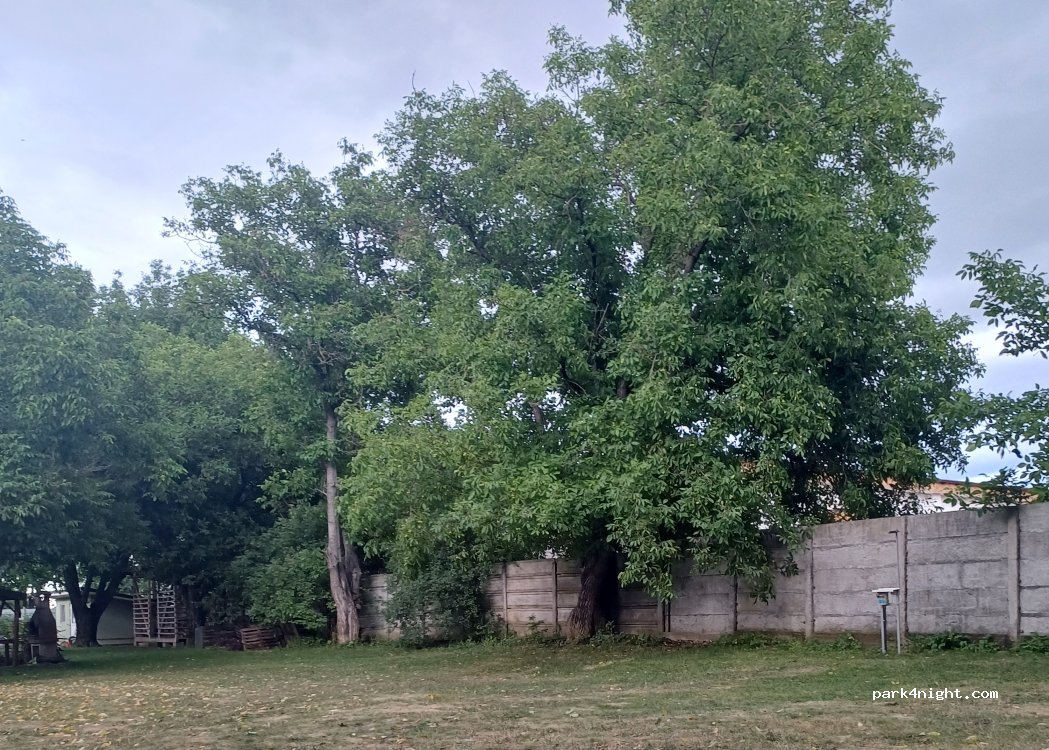 Camping De oude walnoot — foto 5