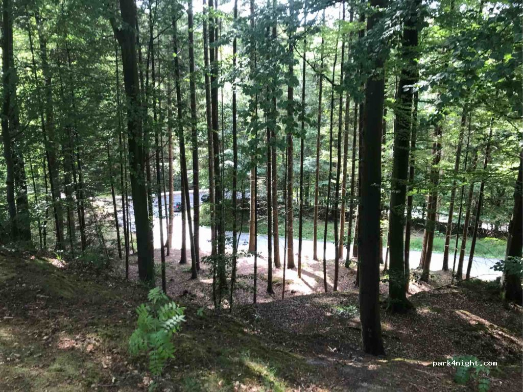 (7100) Vejle - 136 Munkebjergvej — foto 2